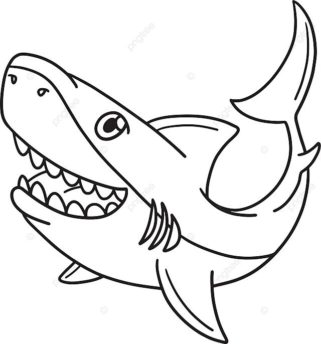 Coloring page for kids featuring an isolated great white shark vector toddler art fin png and vector with transparent background for free download