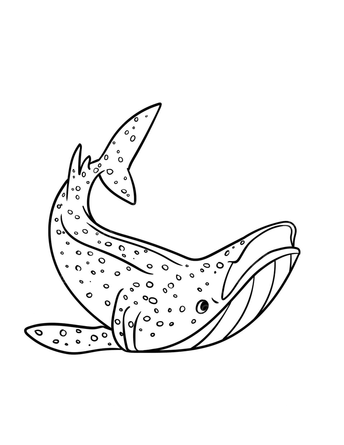 Whale shark isolated coloring page for kids shark kids page vector shark kids page png and vector with transparent background for free download