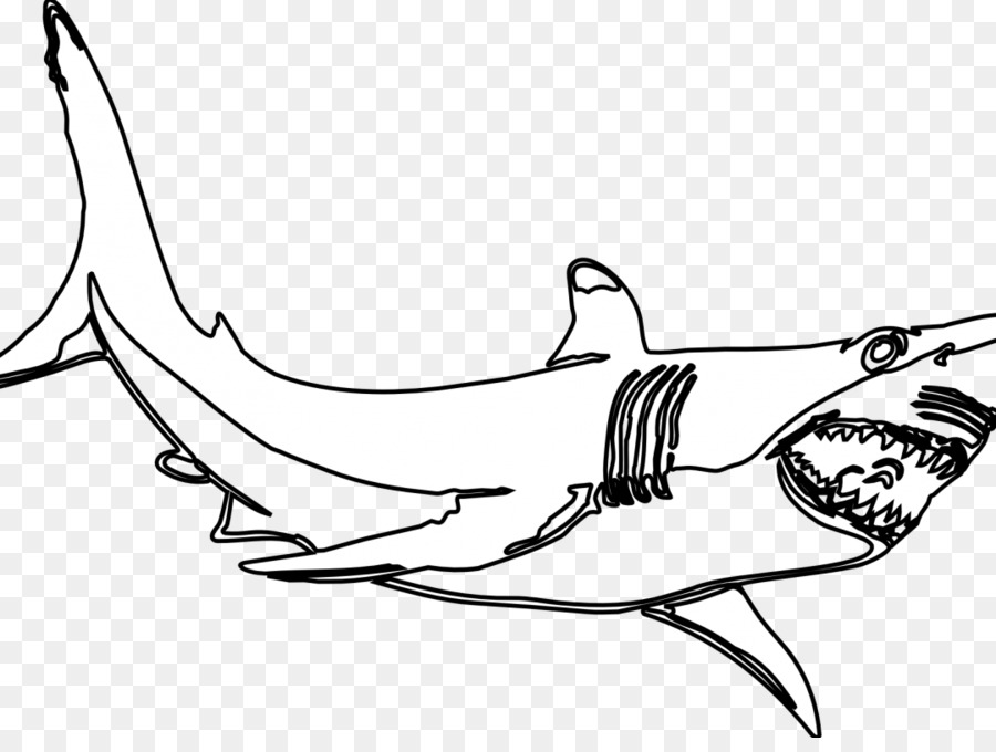 Great white shark background png download
