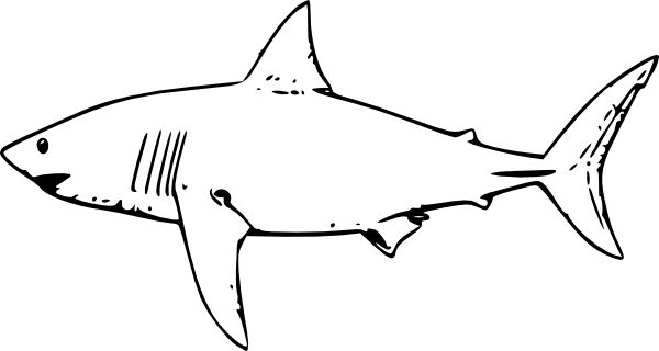 Outline shark coloring pages shark silhouette fish coloring page