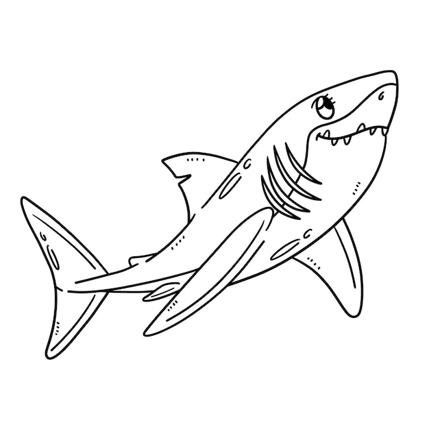 Premium vector baby great white shark isolated coloring page