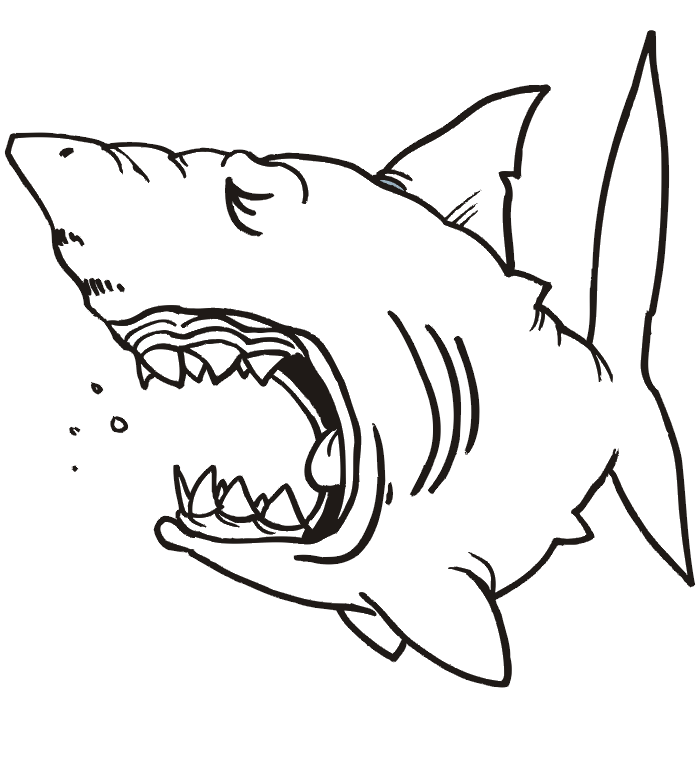 Shark coloring page sleeping shark