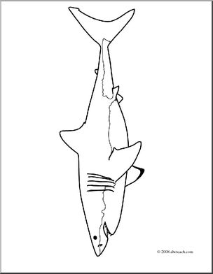 Clip art sharks great white coloring page i