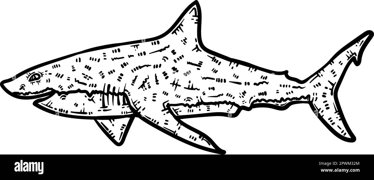 Shark animal coloring page for adults stock vector image art