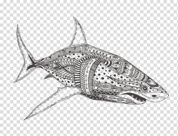 Free great white shark coloring book adult drawing black and white shark transparent background png clipart