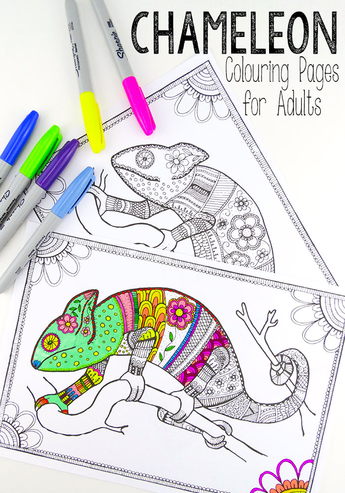 Colouring pages for grown ups