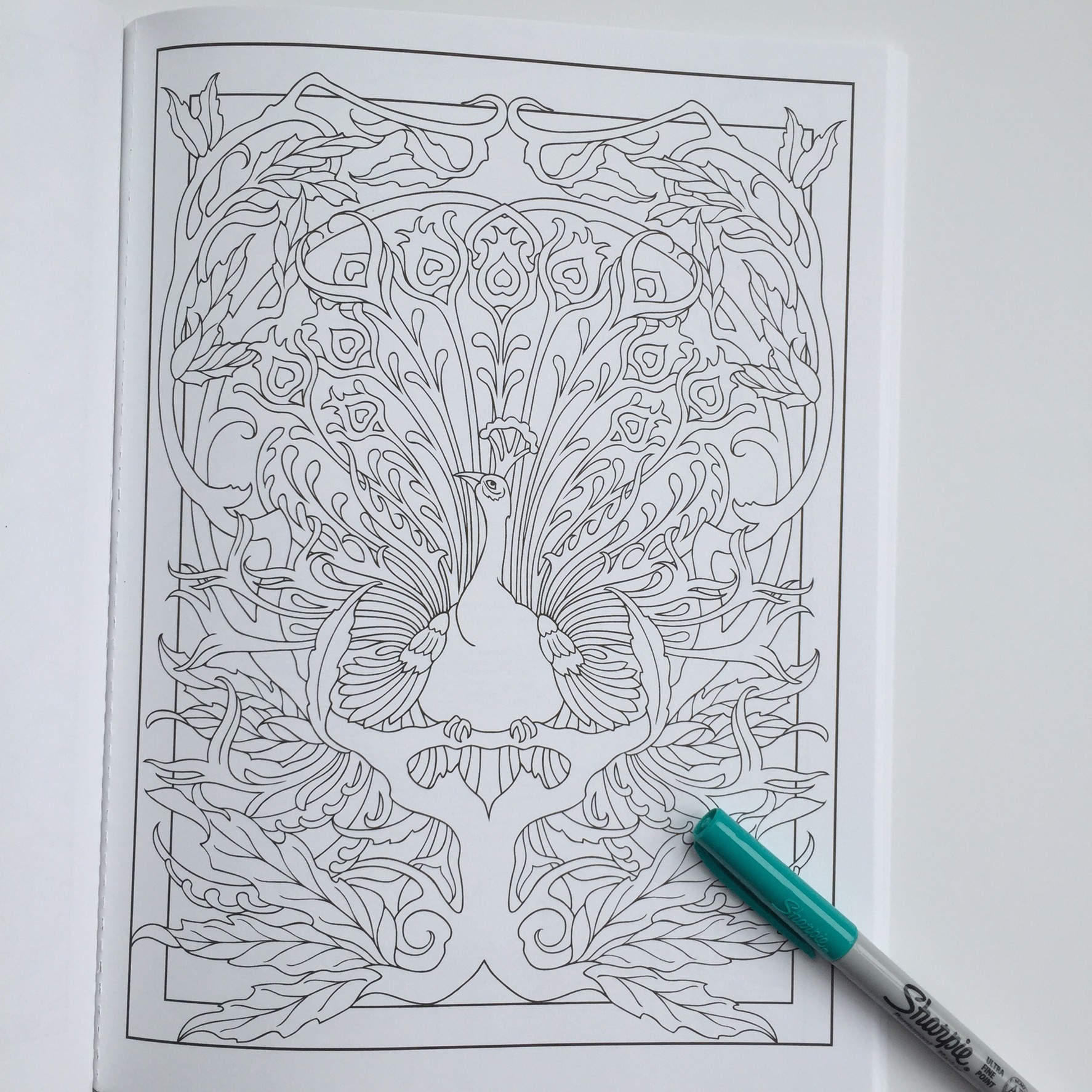 Art nouveau animal designs coloring book review