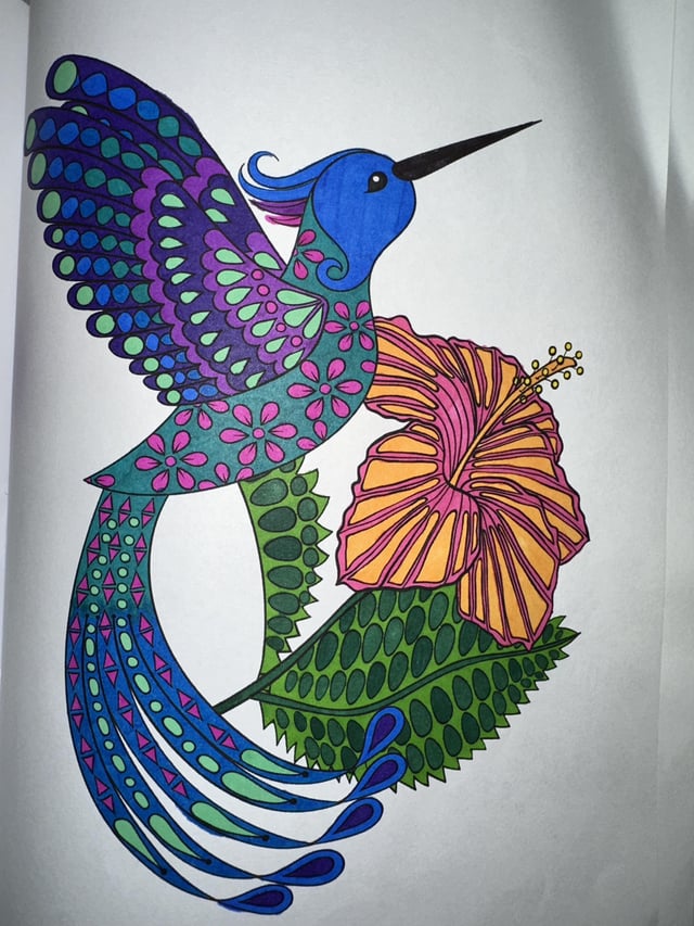 First adult coloring book from a couple of years ago ultra fine sharpie radultcoloring