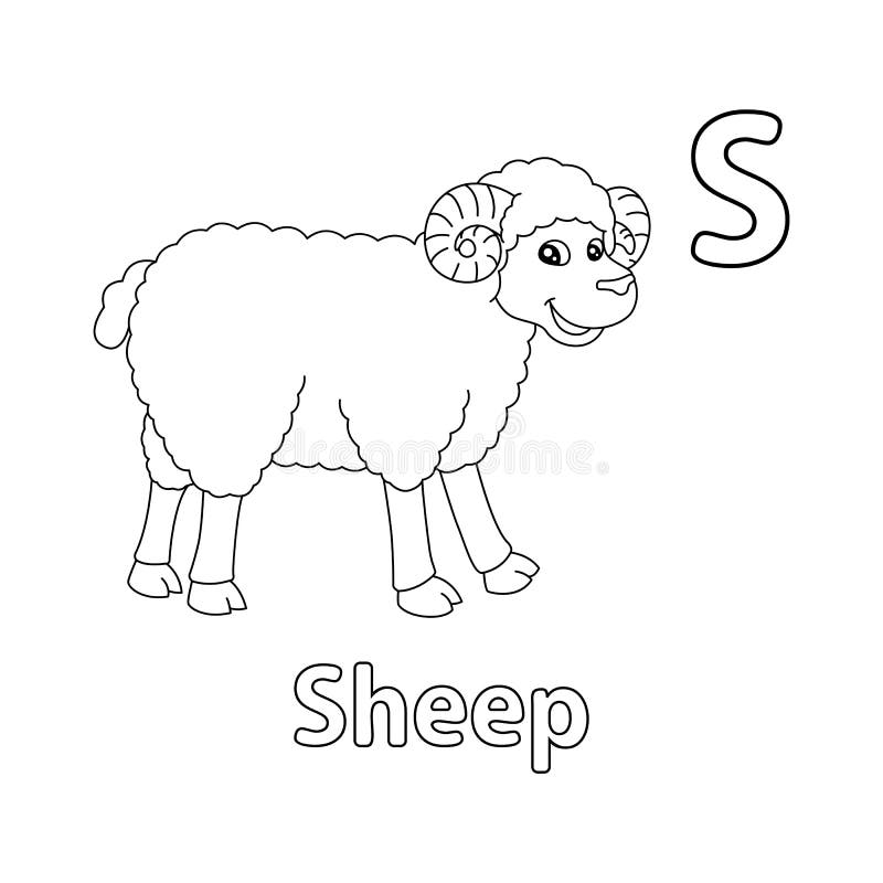 Sheep colouring page stock illustrations â sheep colouring page stock illustrations vectors clipart