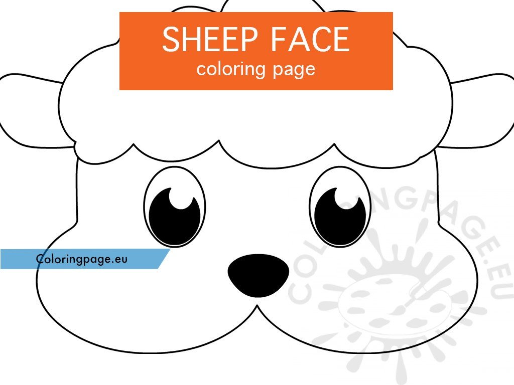 Sheep face