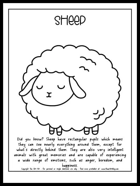 Baby sheep coloring page free homeschool deals