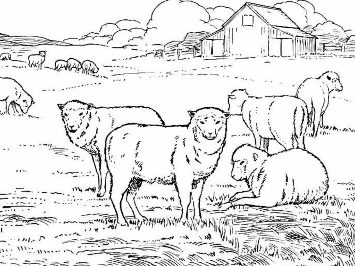 Printable farm coloring pages for kids that farm needs some color