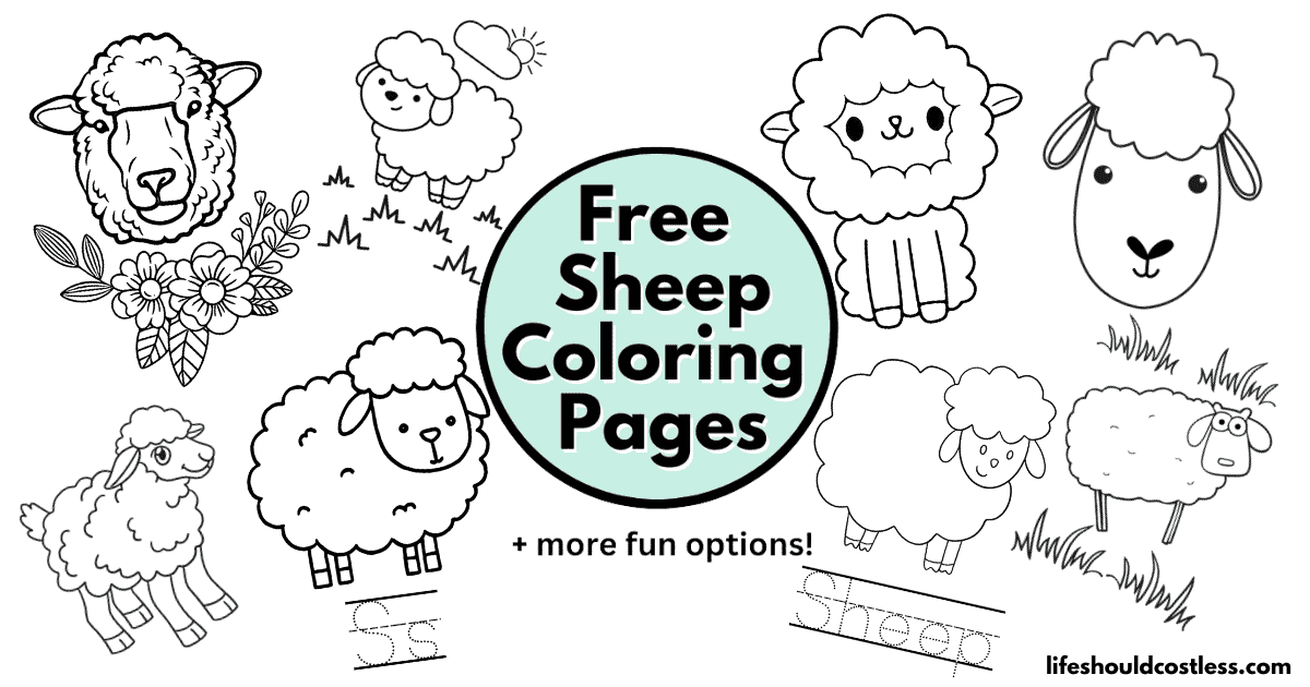 Sheep coloring pages free printable pdf templates