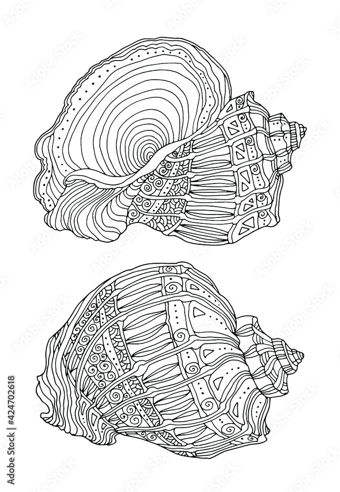 Sea shell sketch seashell clipart set vector illustration zentangle zen art coloring book page for adult hand drawn artwork black and white bohemian ethnic concept vector