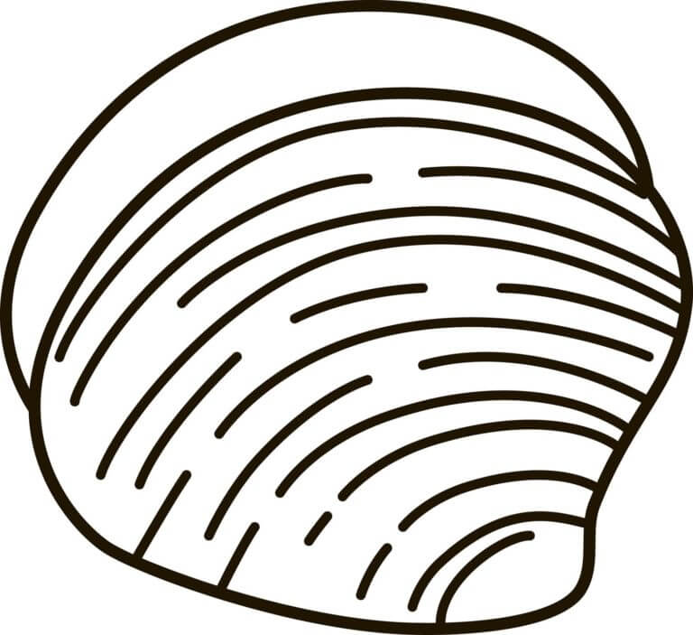 Strange seashell coloring page