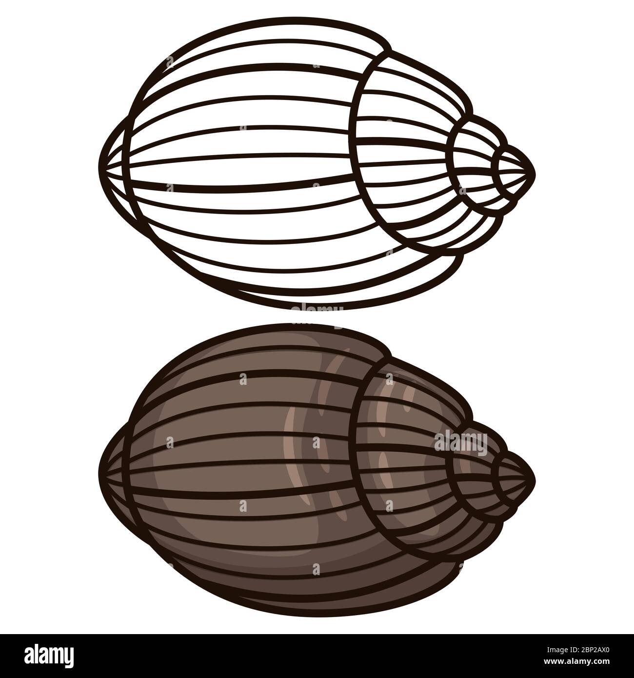 Outline seashell coloring page cartoon shell for print design stickers vector illustration stock vector image art