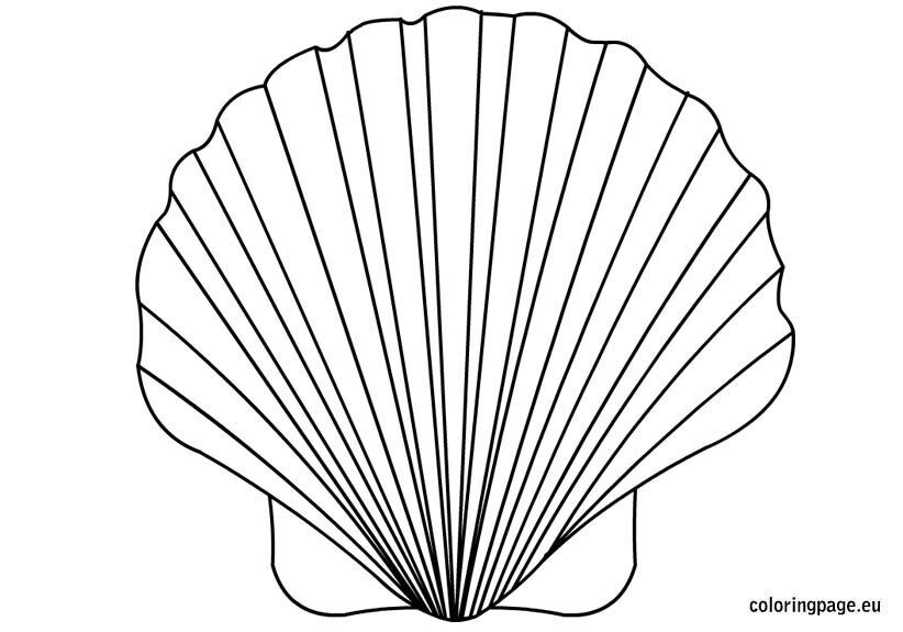 Shell coloring page coloring page