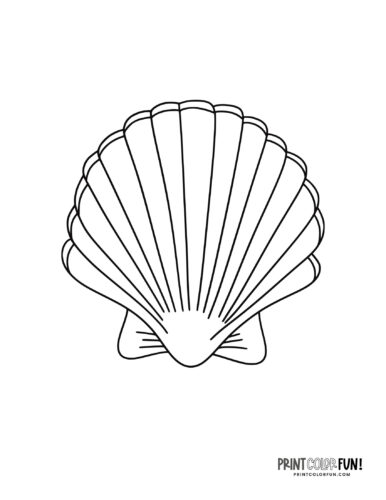 Sea shells coloring pages clip art at