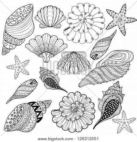 Vector set shells vector photo free trial bigstock