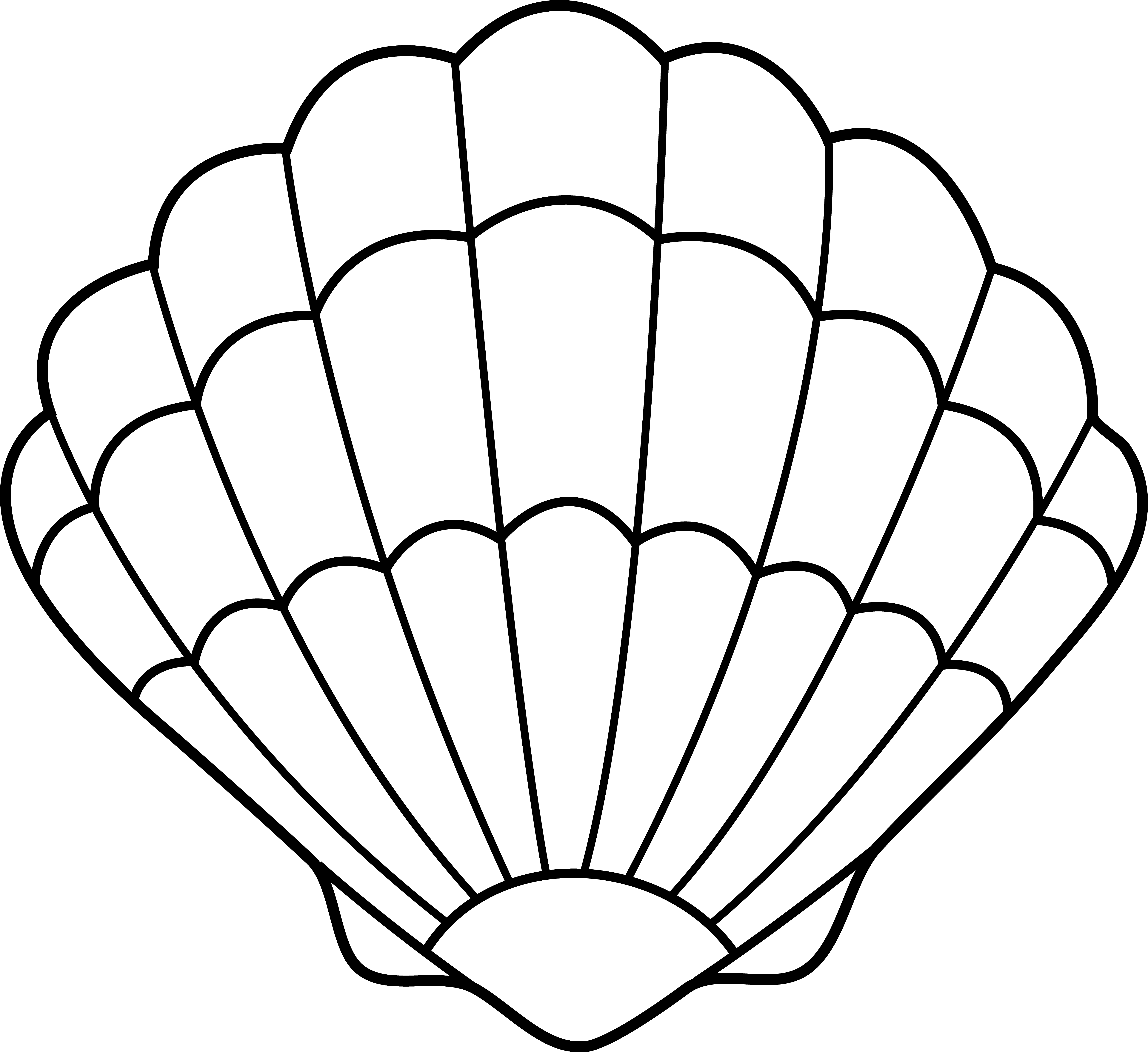 Coloring page shell nature â printable coloring pages