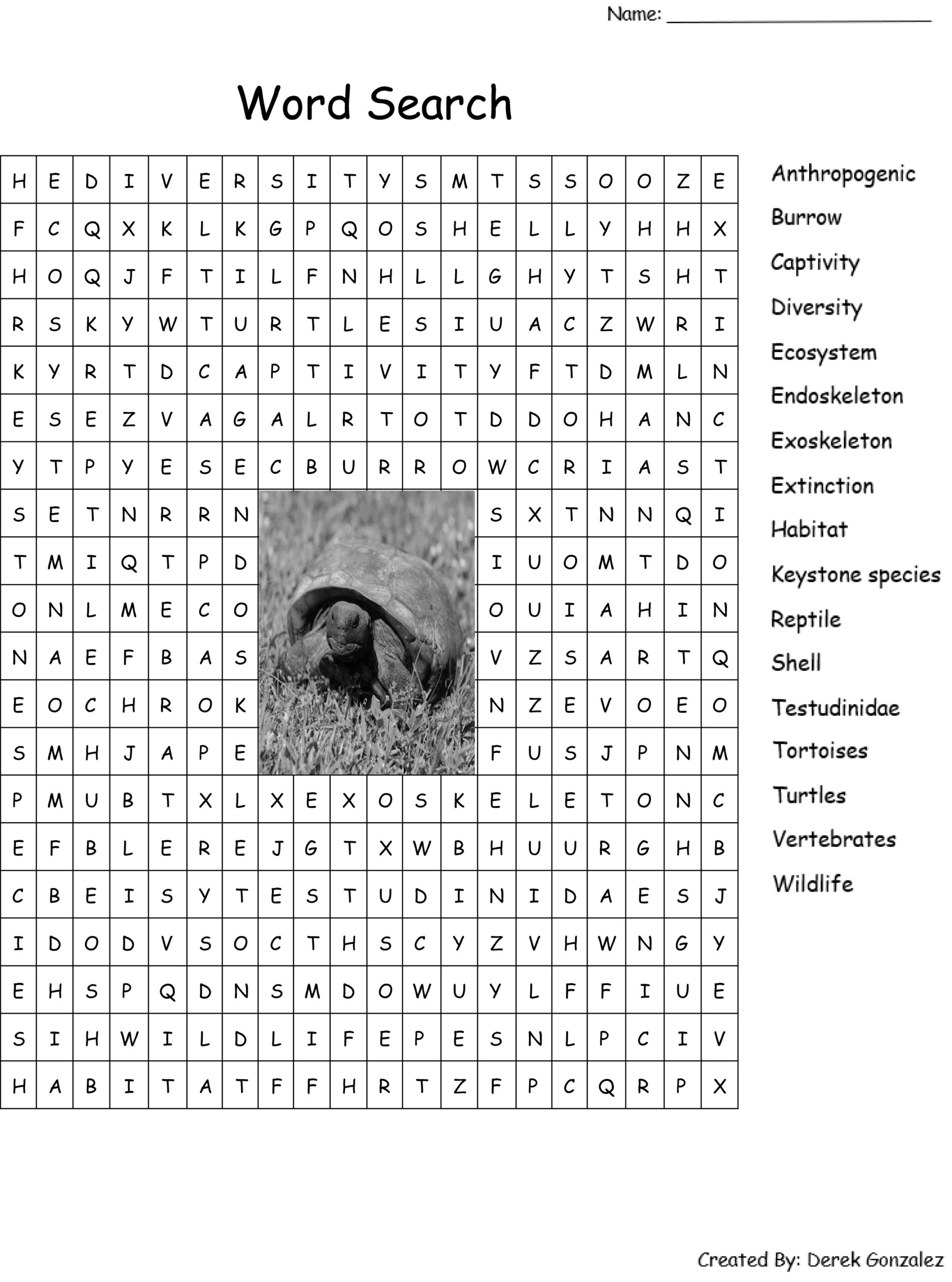 Childrens activity pages imagine our florida inc