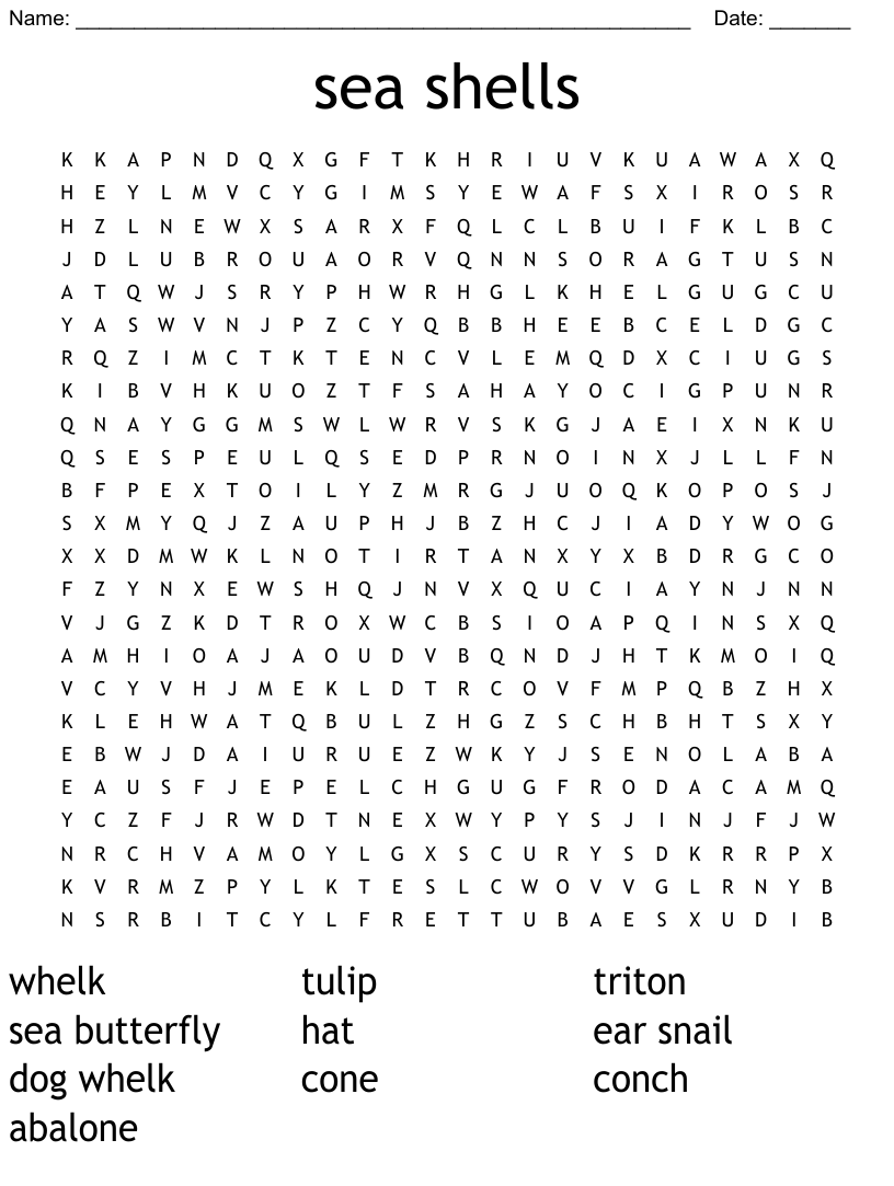 Sea shells word search