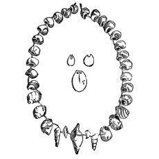 Top free printable shell coloring pages online