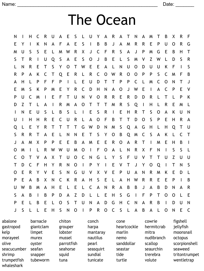 Shells word search