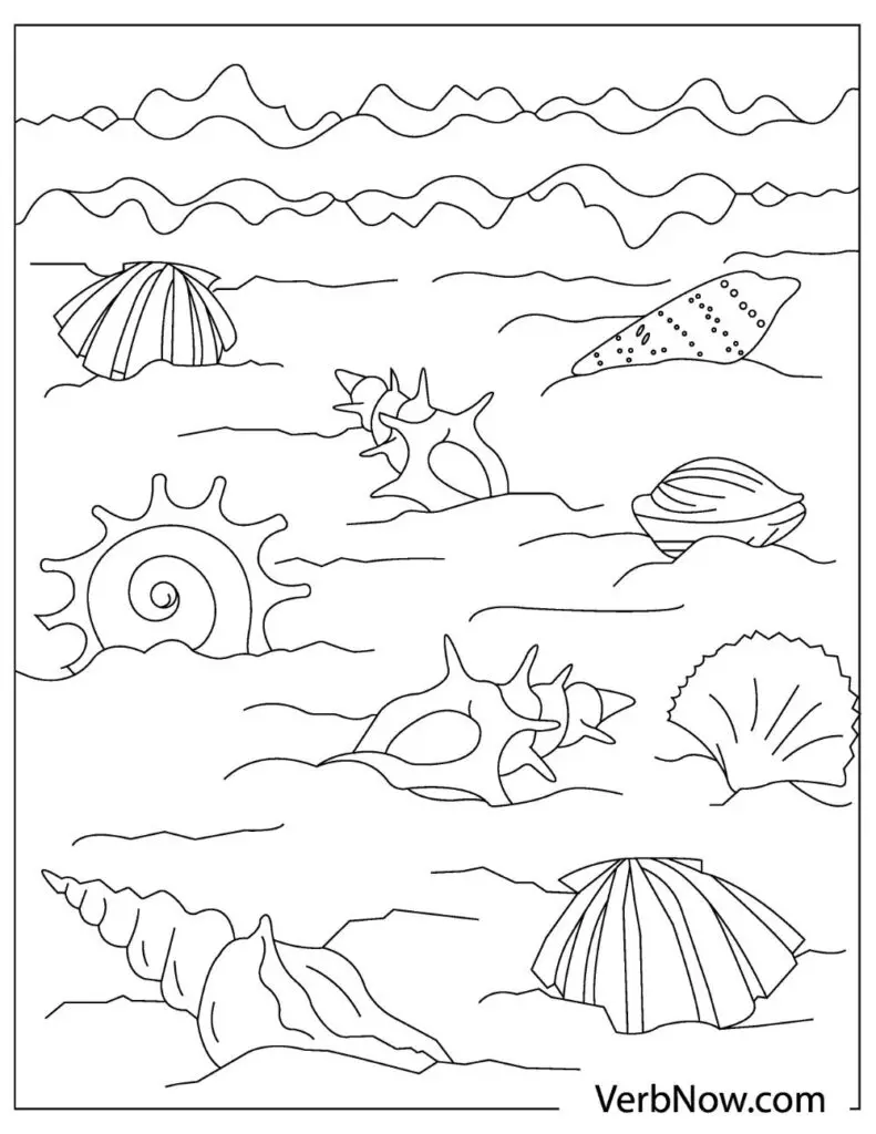 Free shells coloring pages for download pdf