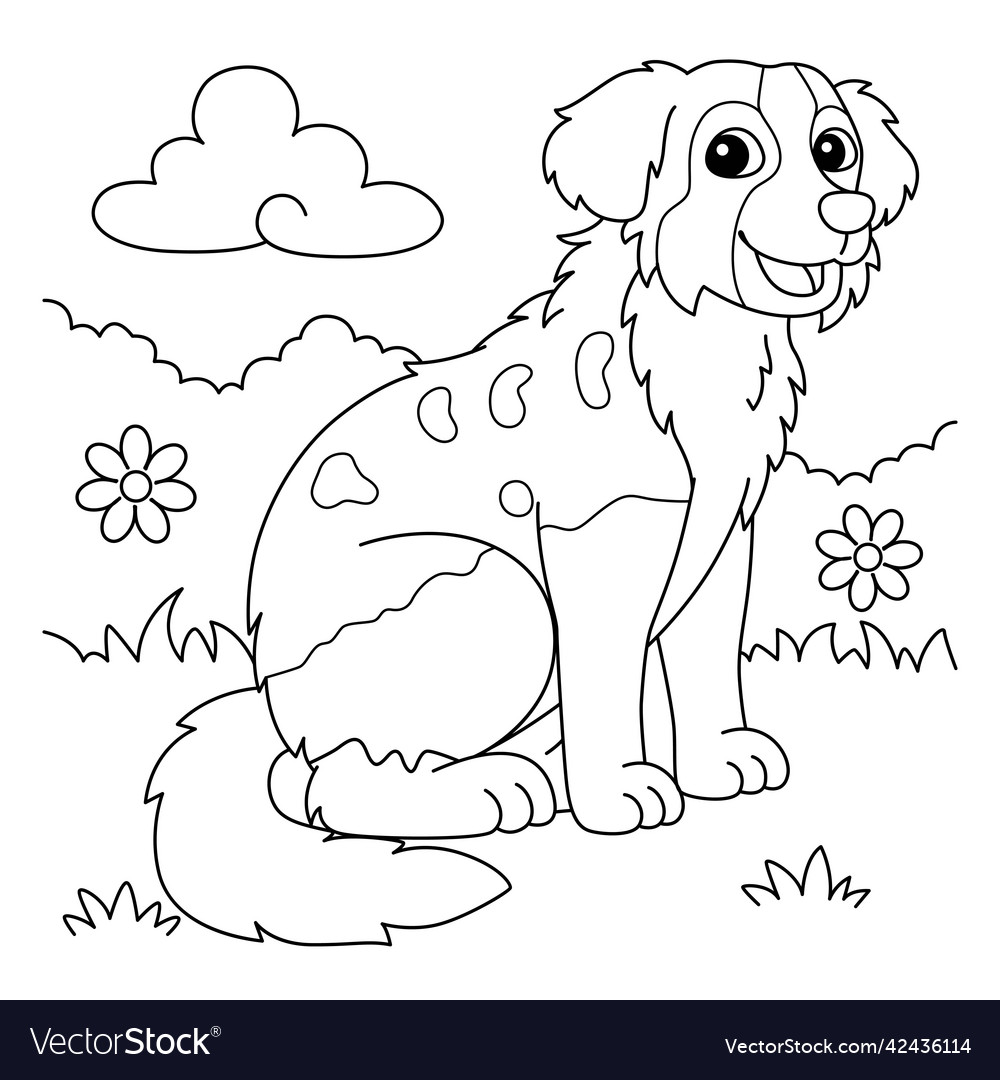 Australian shepherd dog coloring page for kids vector image