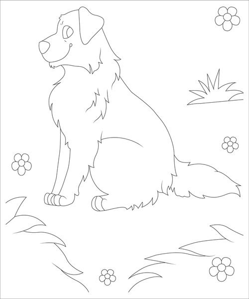 Australian shepherd dog coloring pages images stock photos d objects vectors