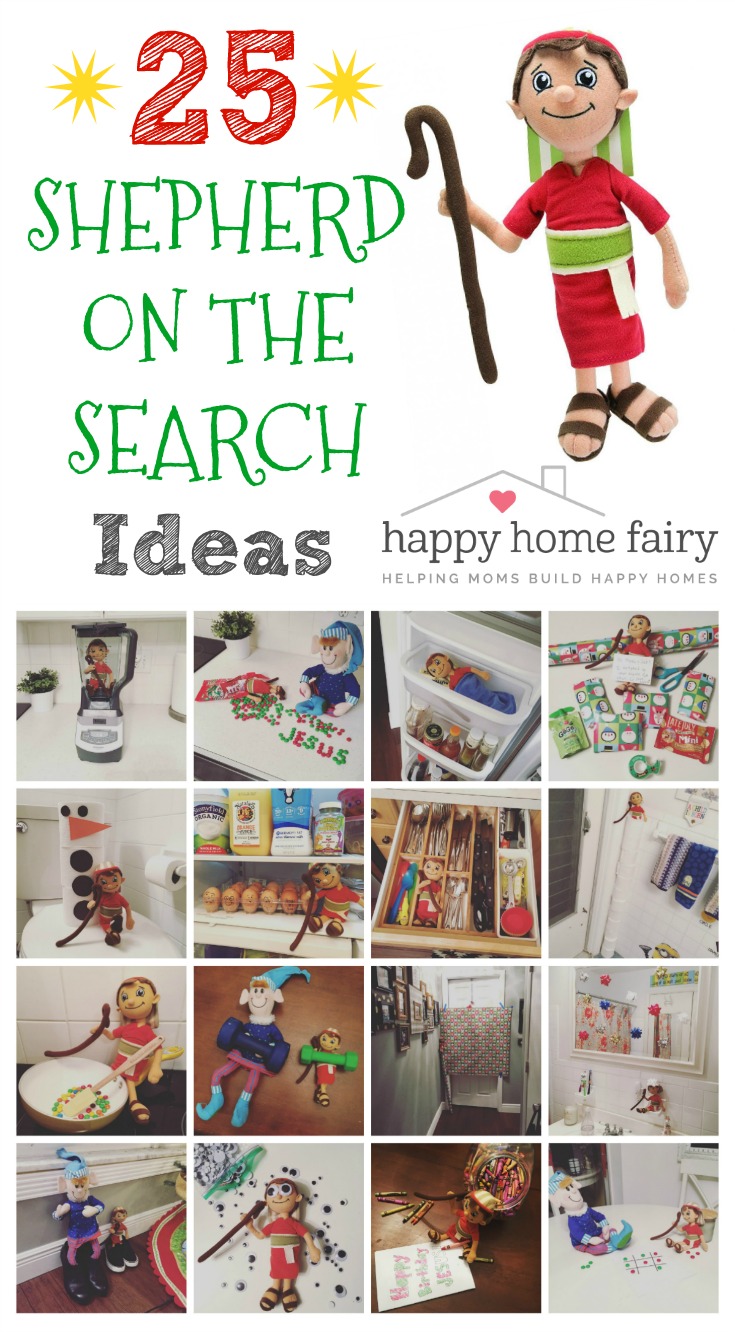 Shepherd on the search ideas