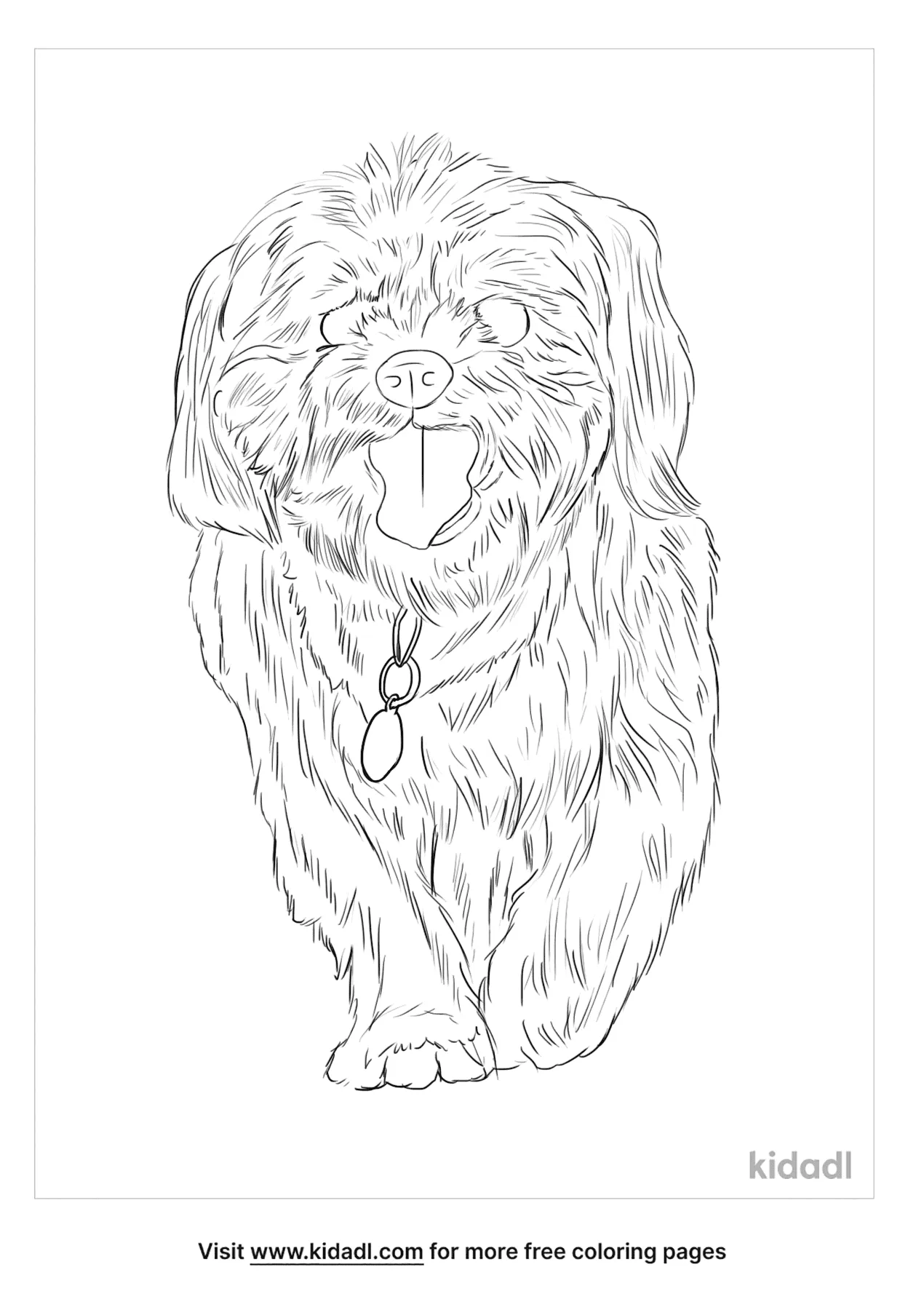 Free shih tzu poodle mix coloring page coloring page printables