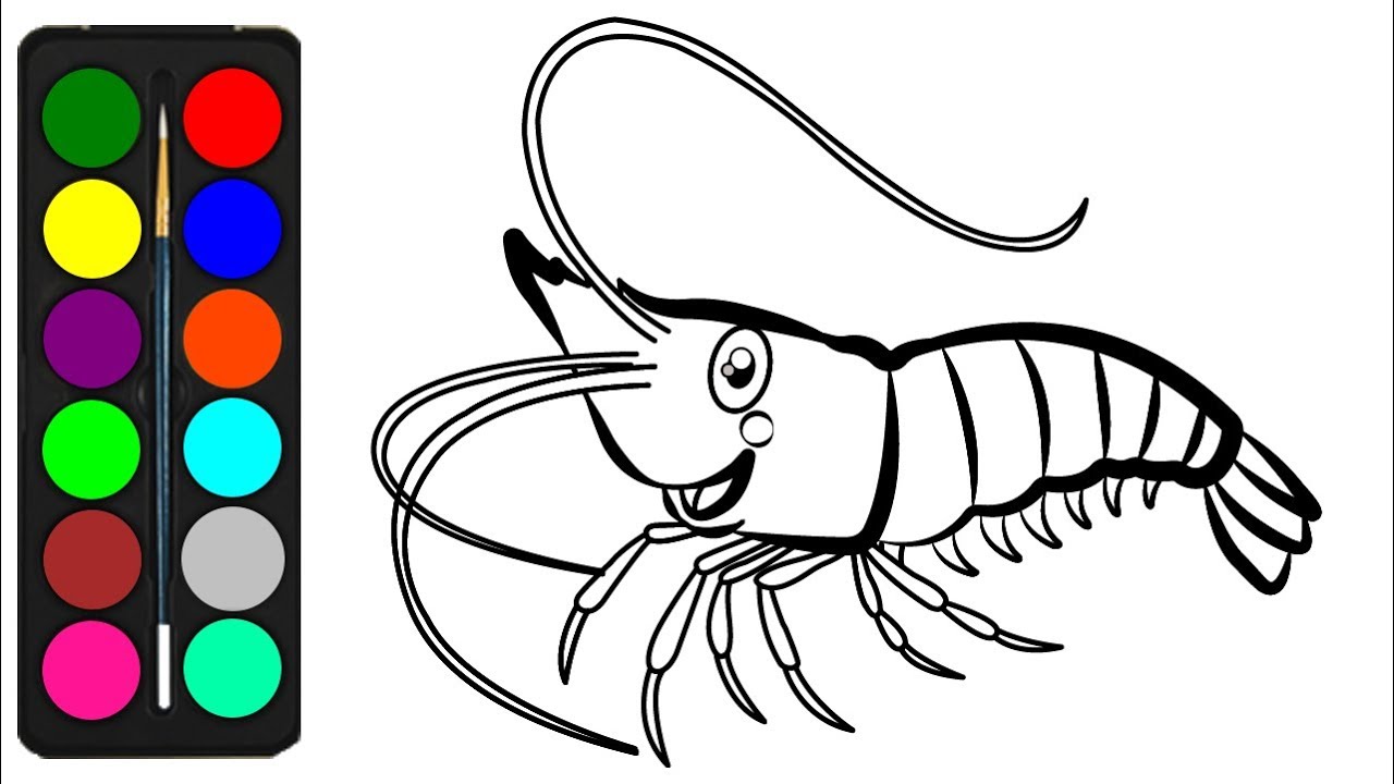 Shrimp coloring pages for kids