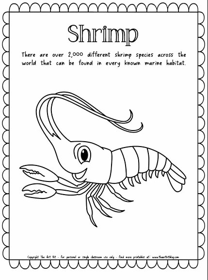 Shrimp coloring page free homeschool deals
