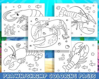 Ocean delights prawn and shrimp coloring adventures pages of fun for preschool and kindergarten pdf file instant download