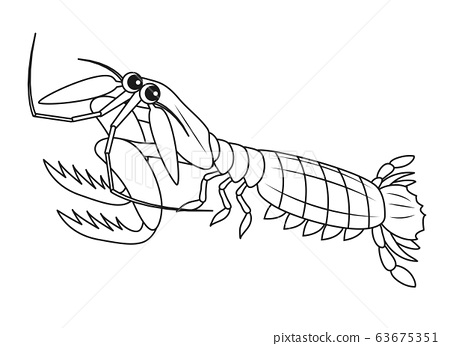 Shako character illustration coloring page