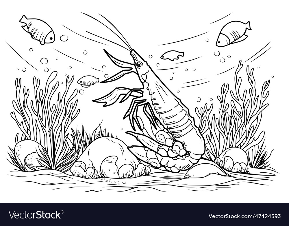 Shrimp coloring book page simple line royalty free vector