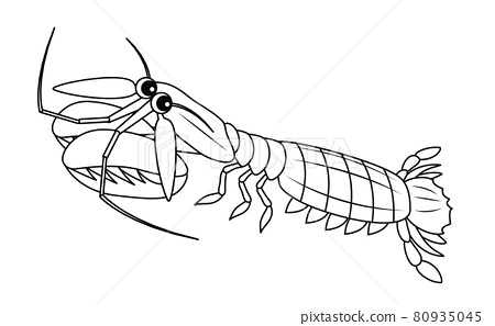 Shako character illustration coloring page