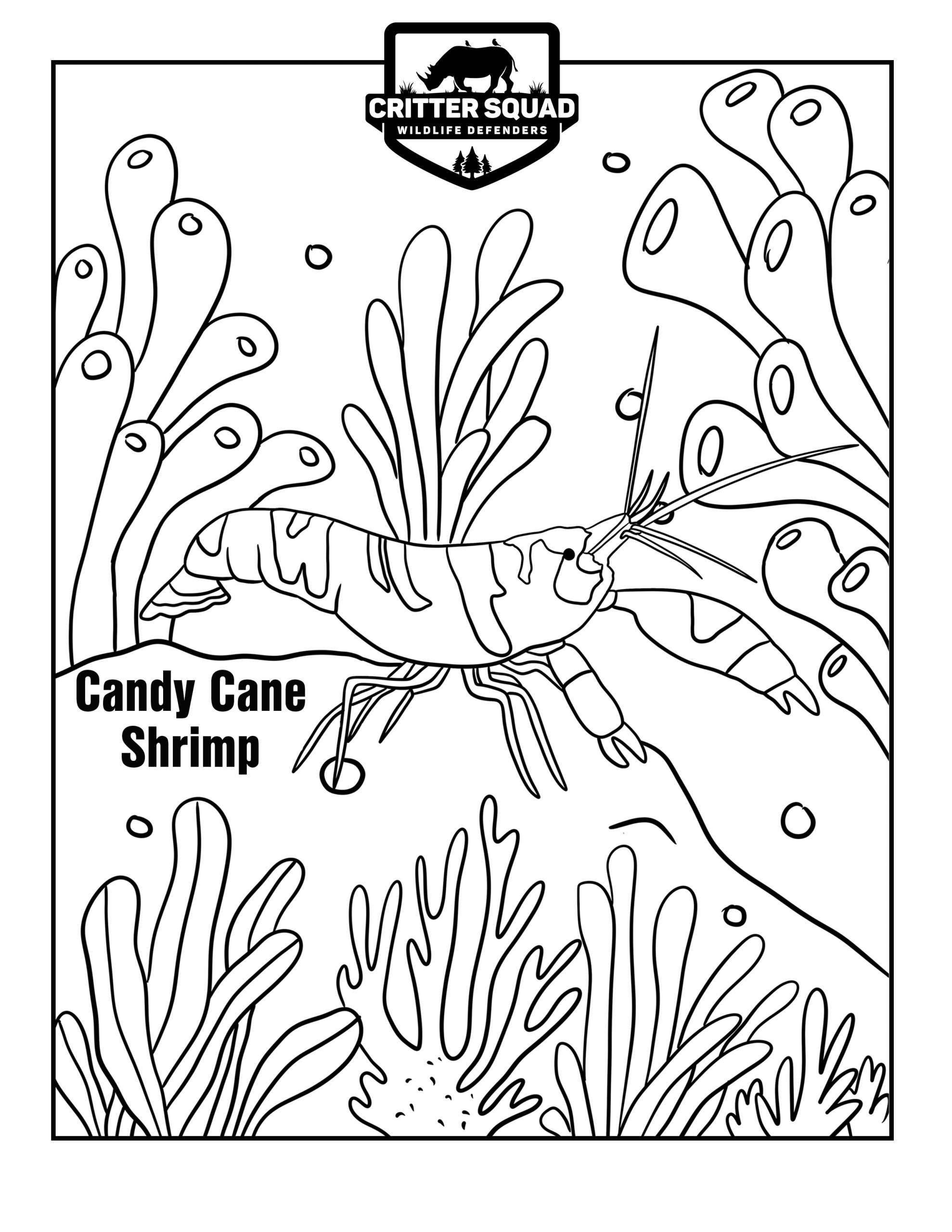 Candy cane shrimp coloring page