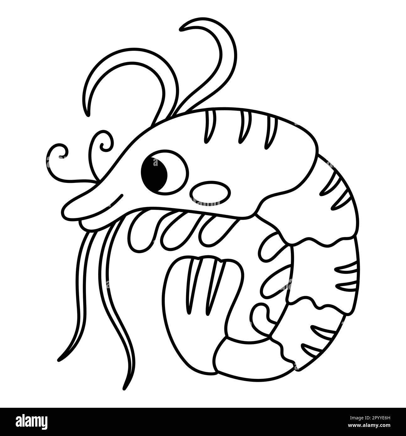 Cute shrimp black and white stock photos images