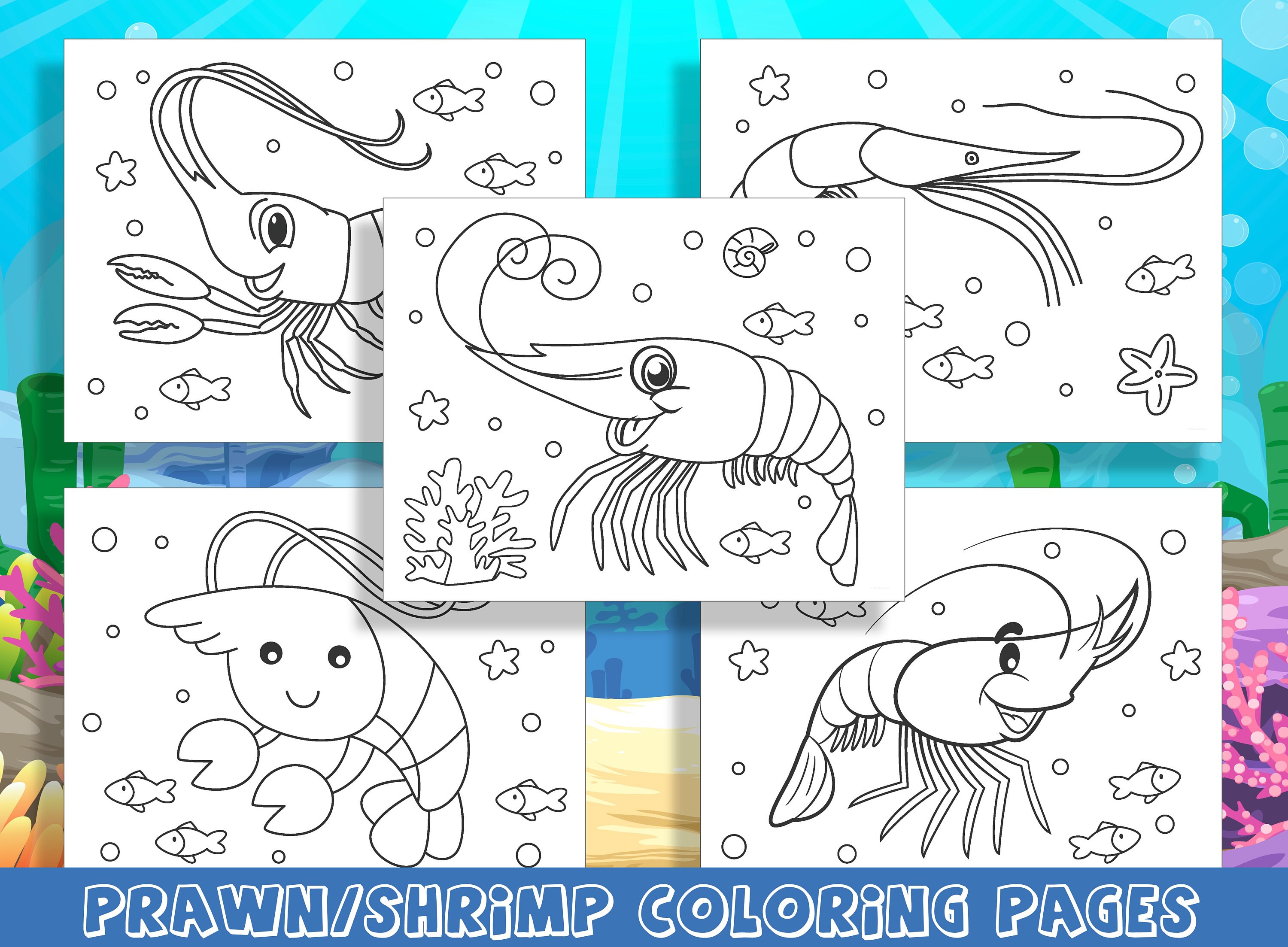 Ocean delights prawn and shrimp coloring adventures pages of fun for preschool and kindergarten pdf file instant download