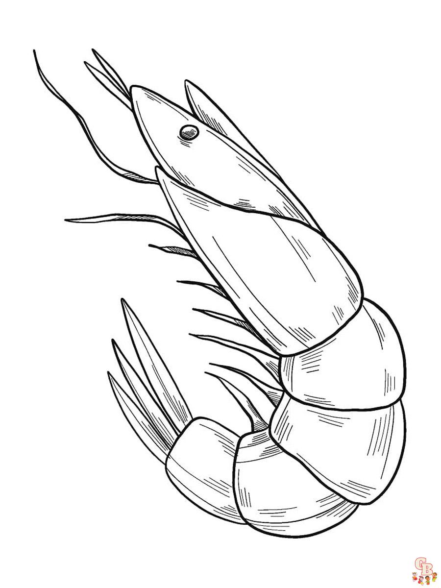 Shrimp coloring pages free printable easy designs for kids