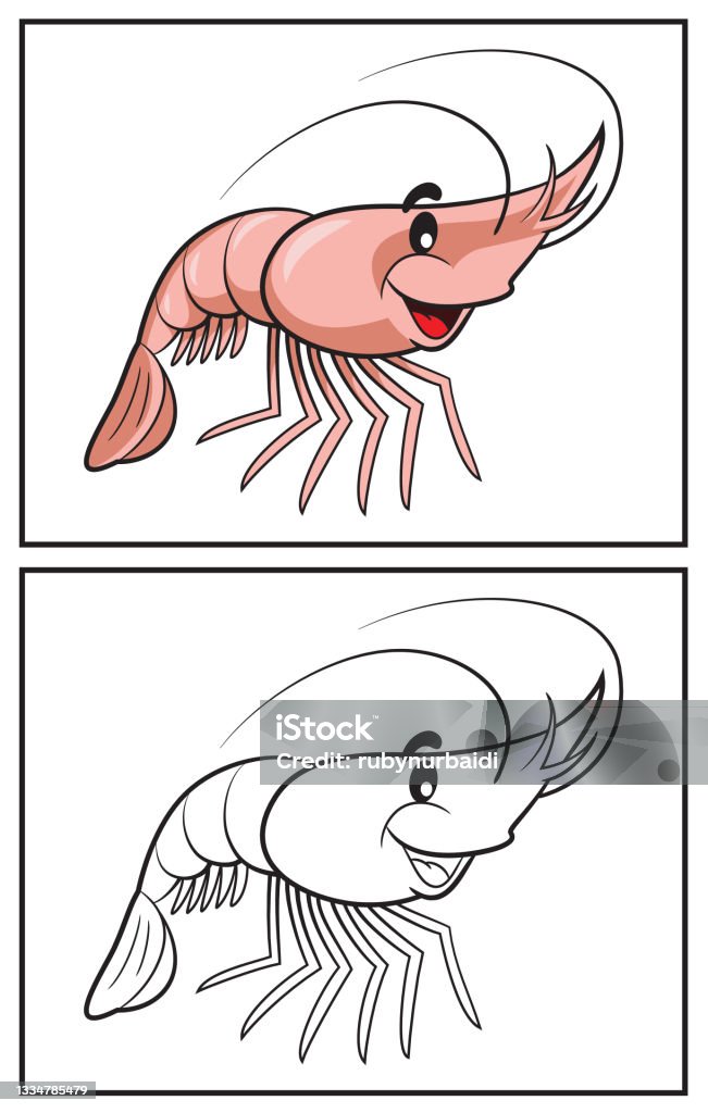 Coloring book cute shrimp stock illustration