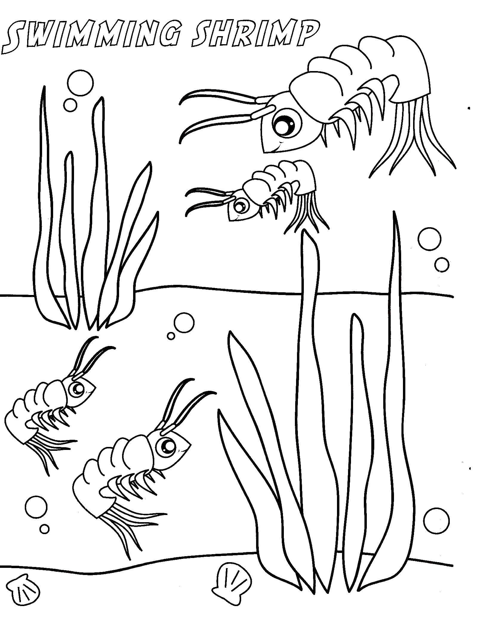 Online coloring pages sea world coloring pages website