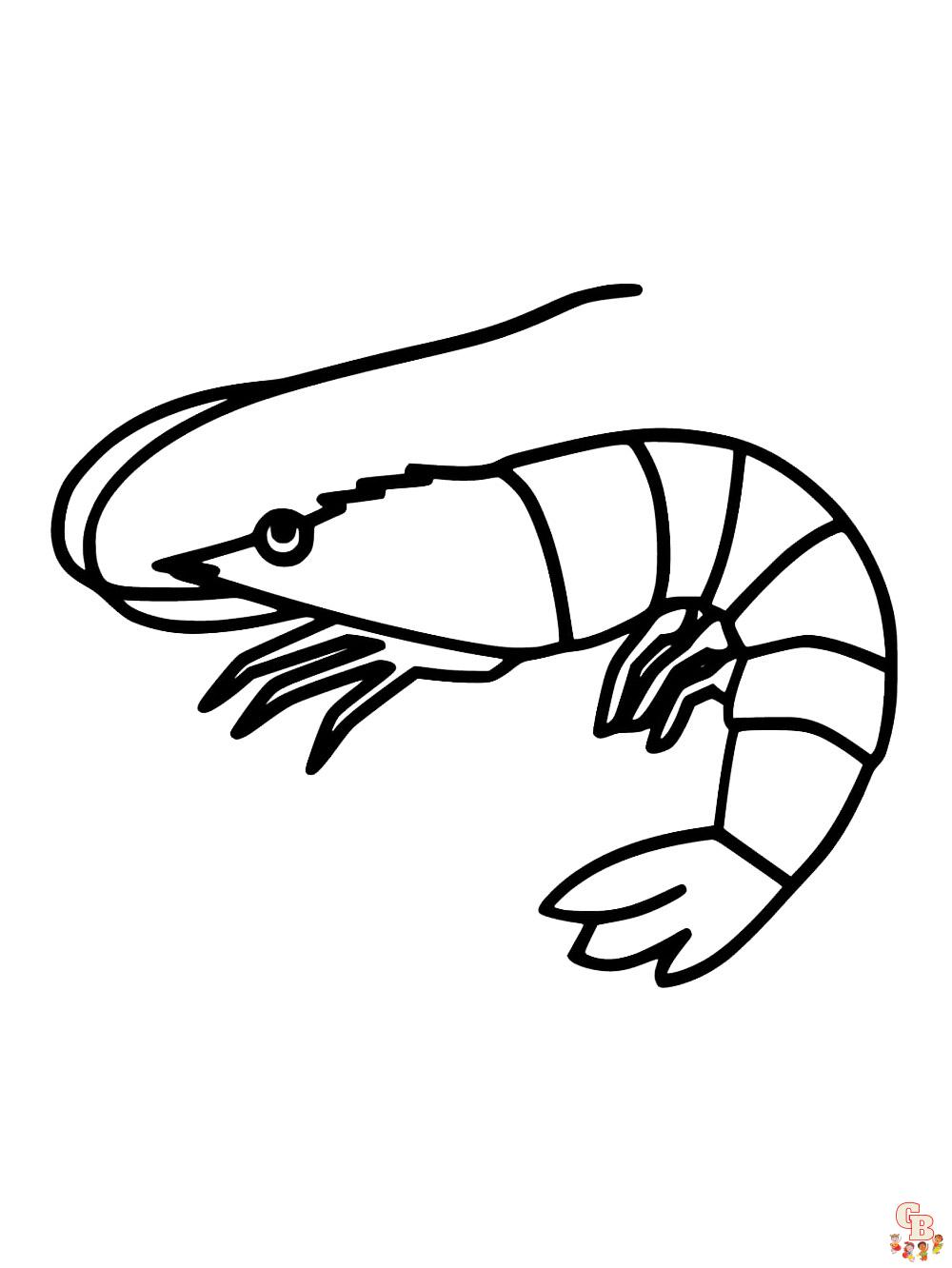 Shrimp coloring pages free printable easy designs for kids