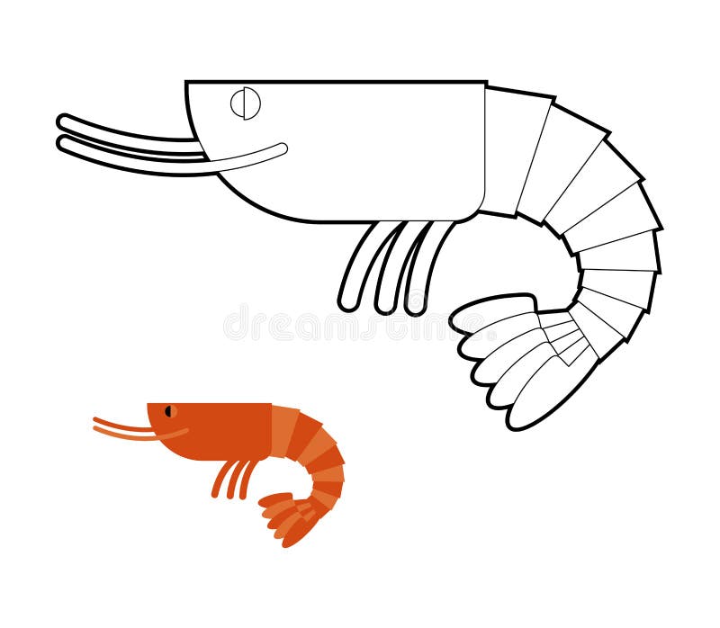 Shrimp coloring book small marine cancroid ocean plankton stock vector
