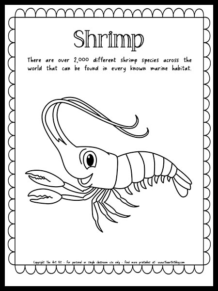 Shrimp coloring page with fun fact free printable â the art kit