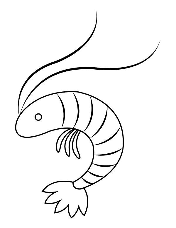 Printable shrimp coloring page