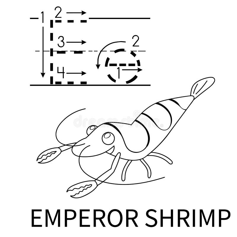 Shrimp worksheet stock illustrations â shrimp worksheet stock illustrations vectors clipart